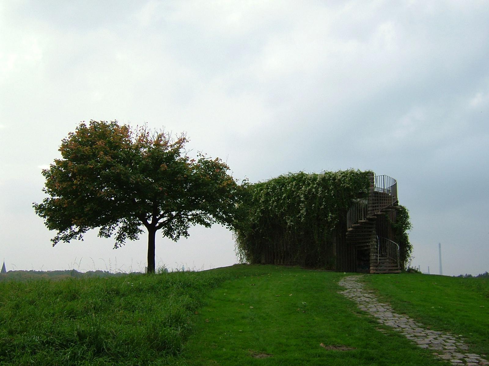 DSCF1267