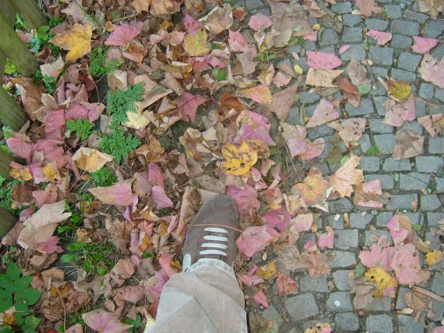 DSCF1400