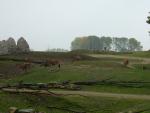 DSCF1573
