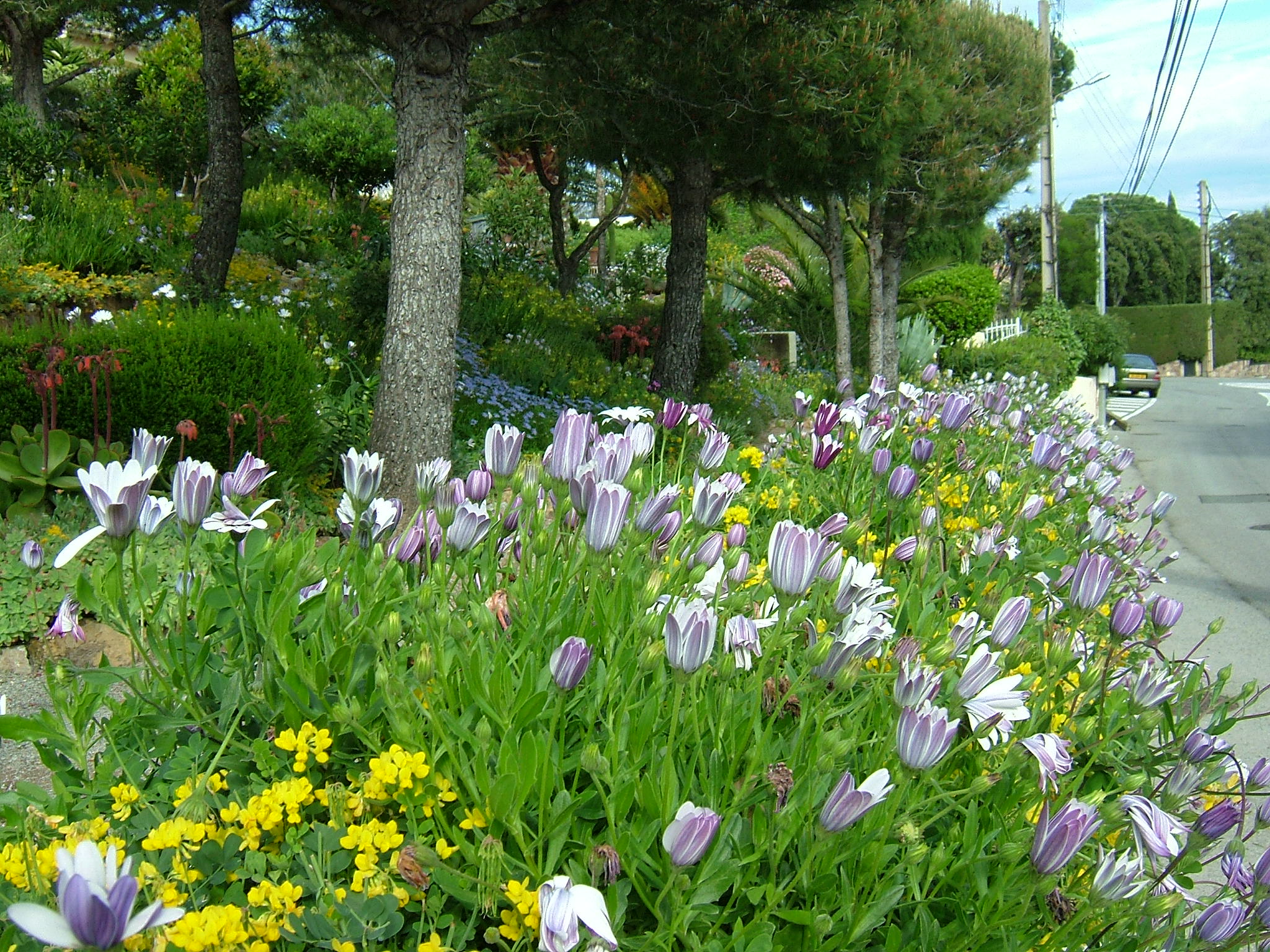 DSCF4060